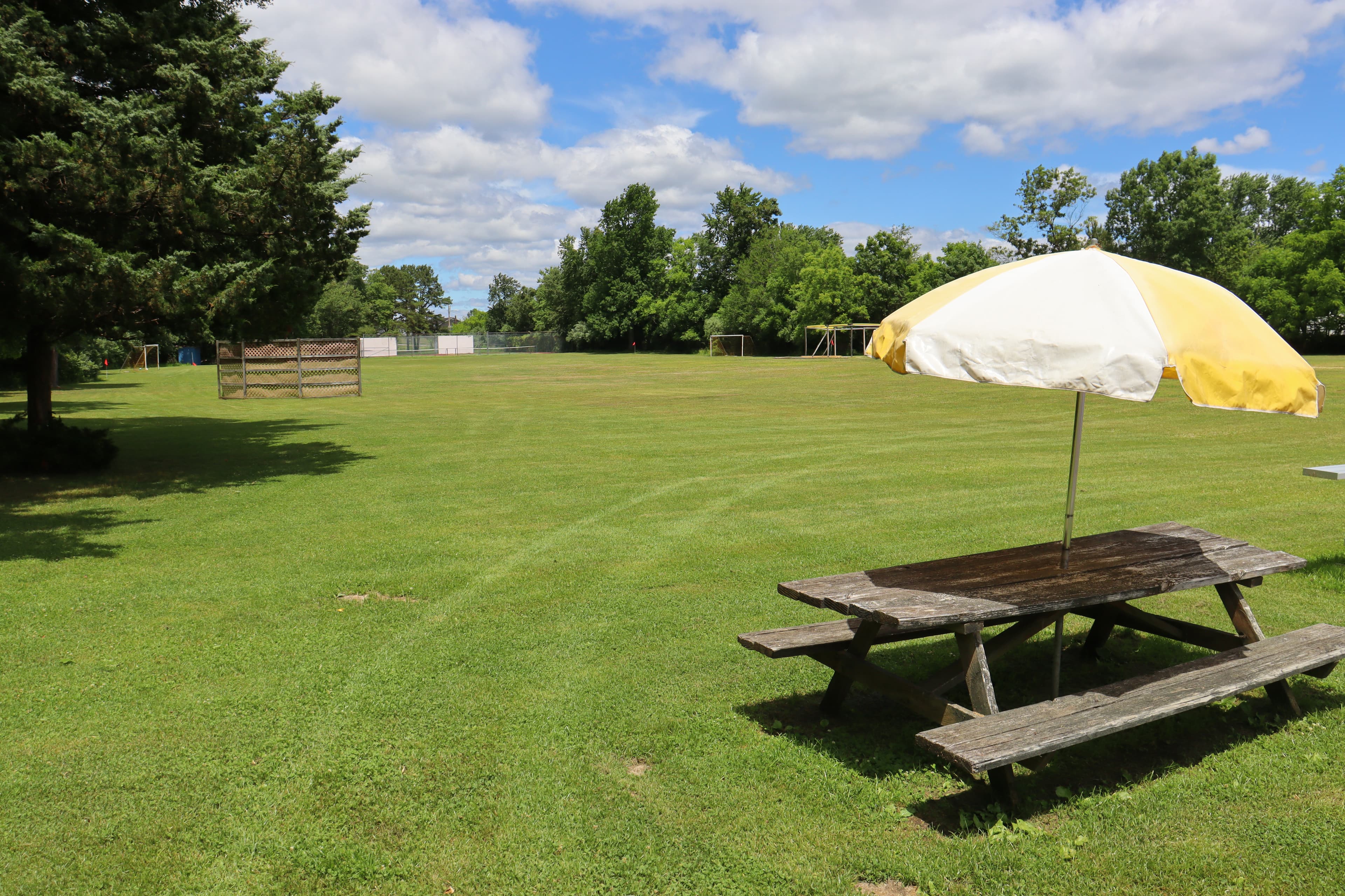 Expansive green sports fields